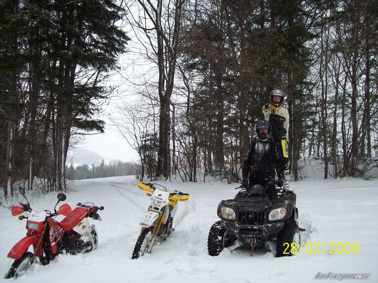 Photo 1585545