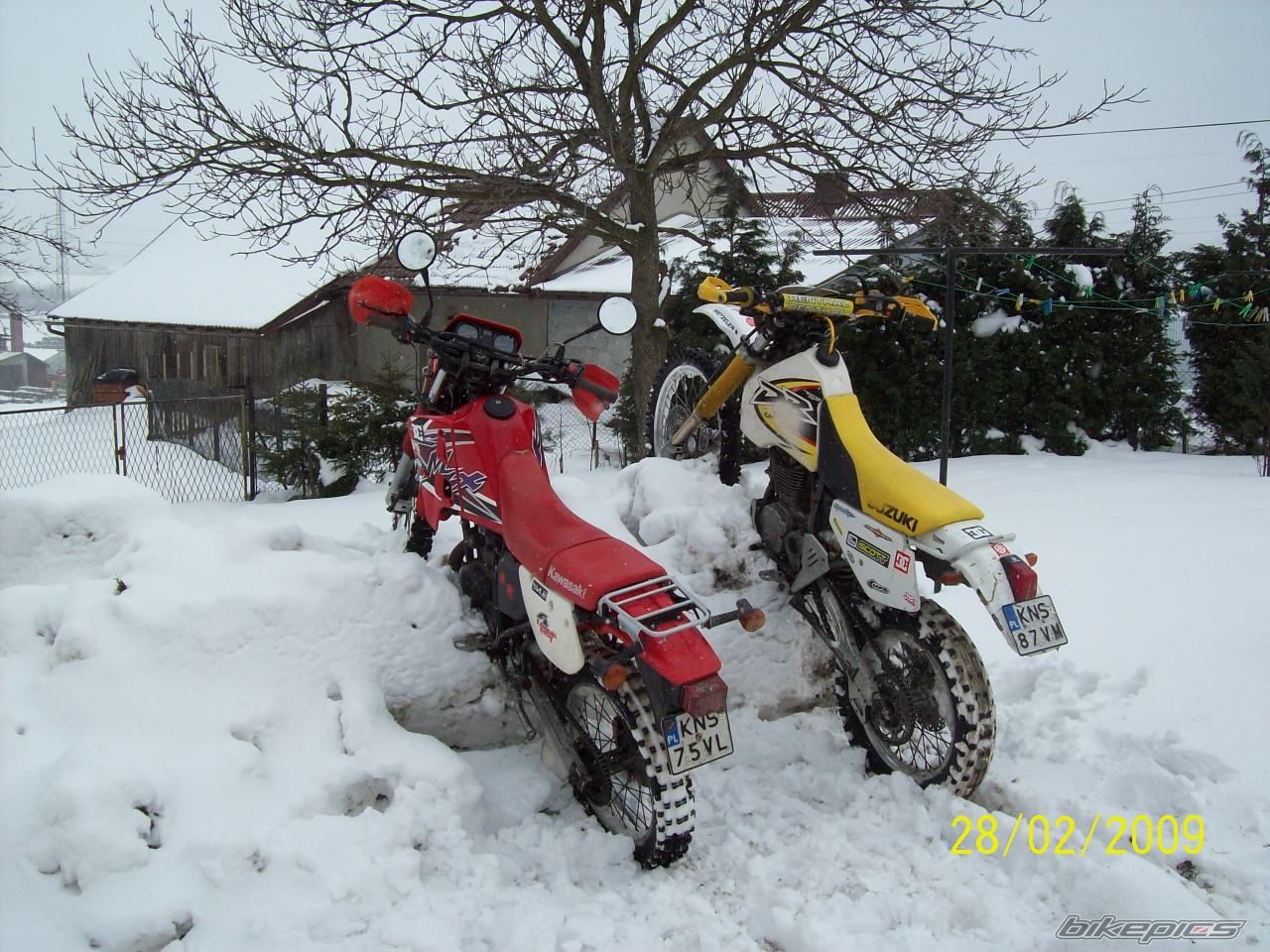 Photo 1585565