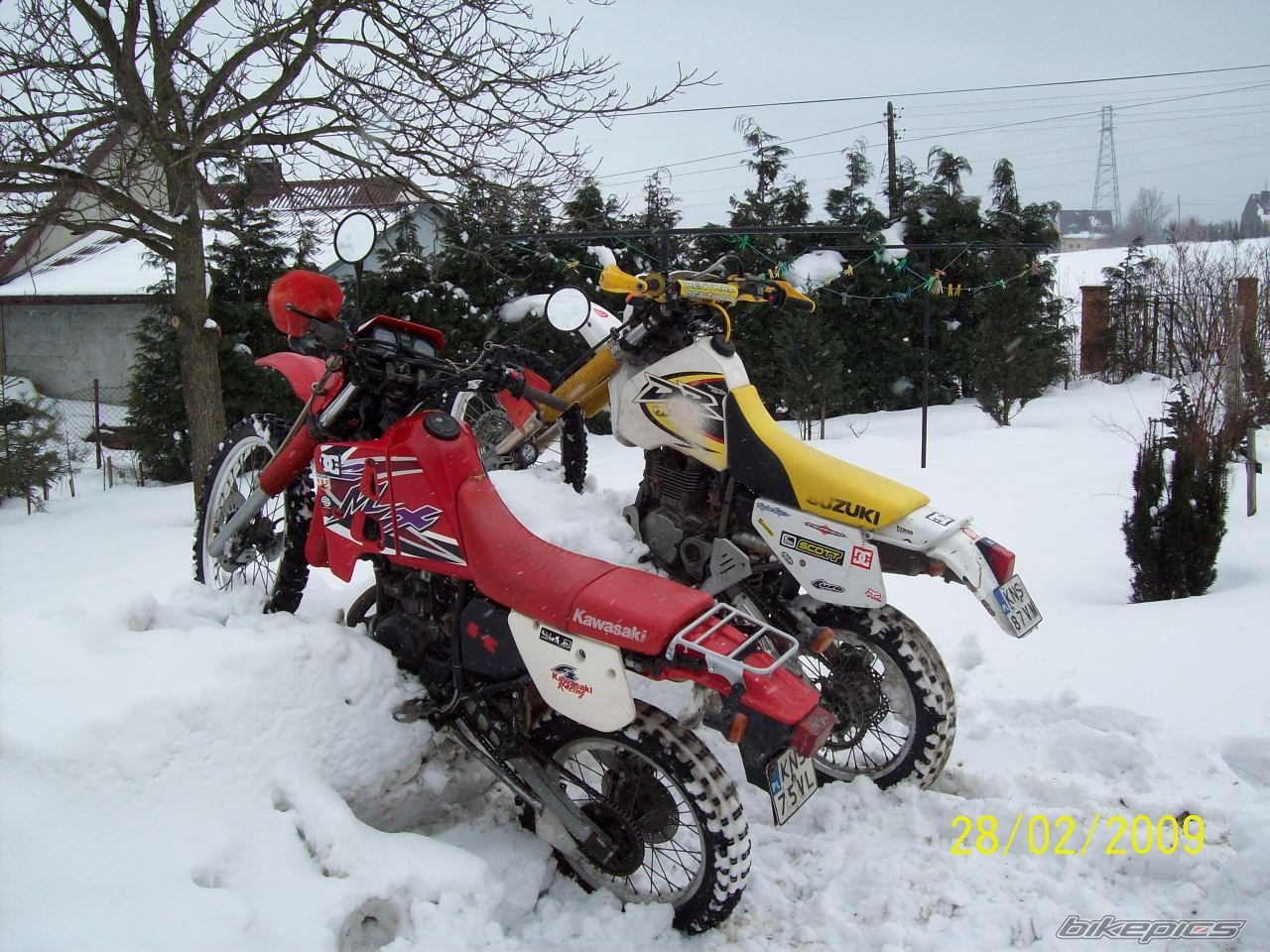 Photo 1585567