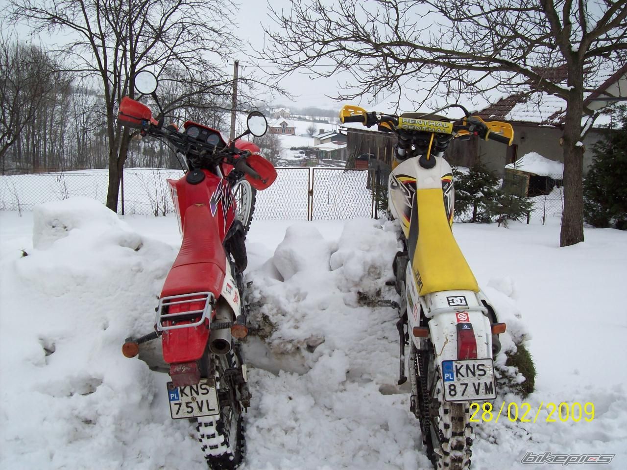 Photo 1585570