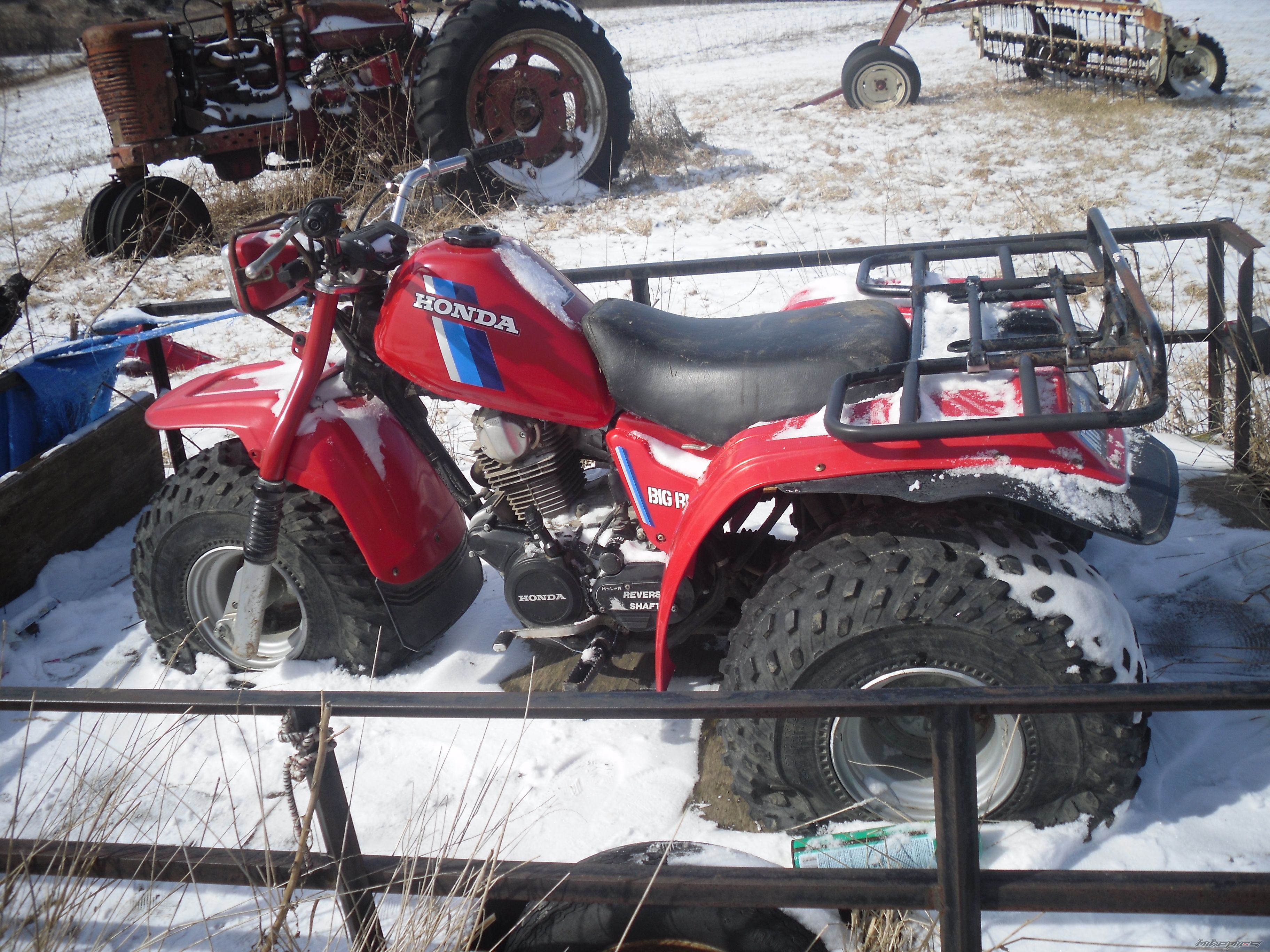 Photo 1585625
