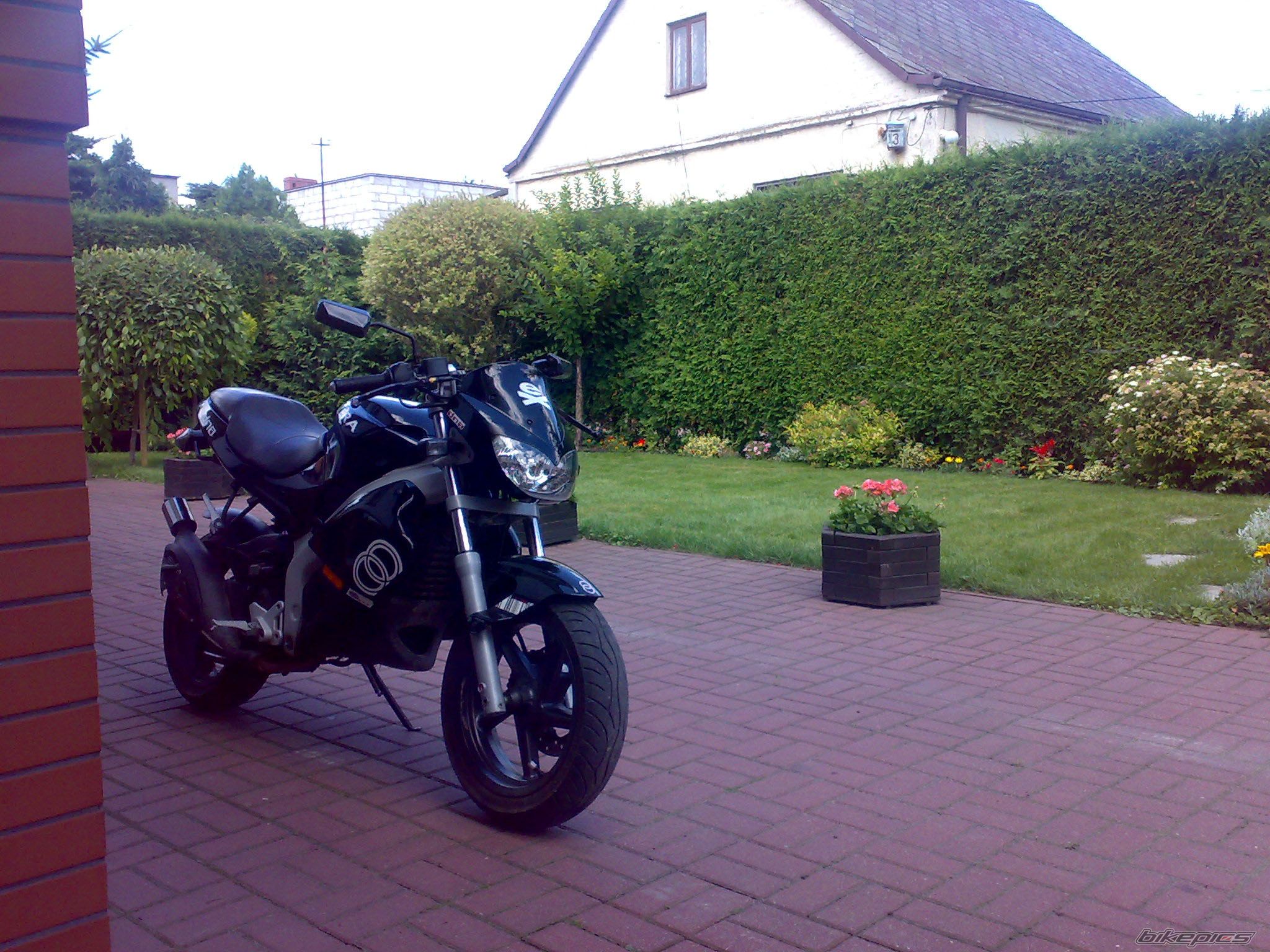 Photo 1585670