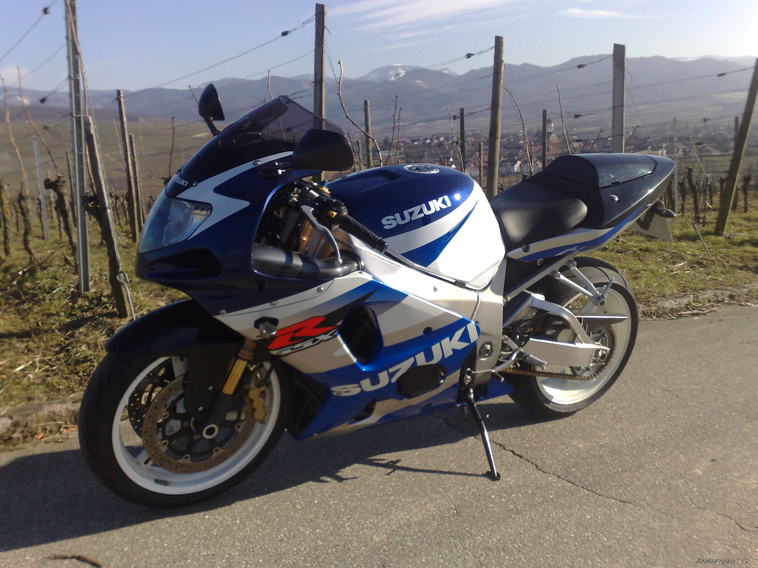Photo 1585674
