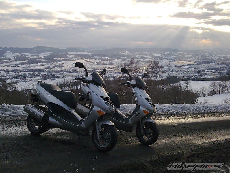 Photo 1585755
