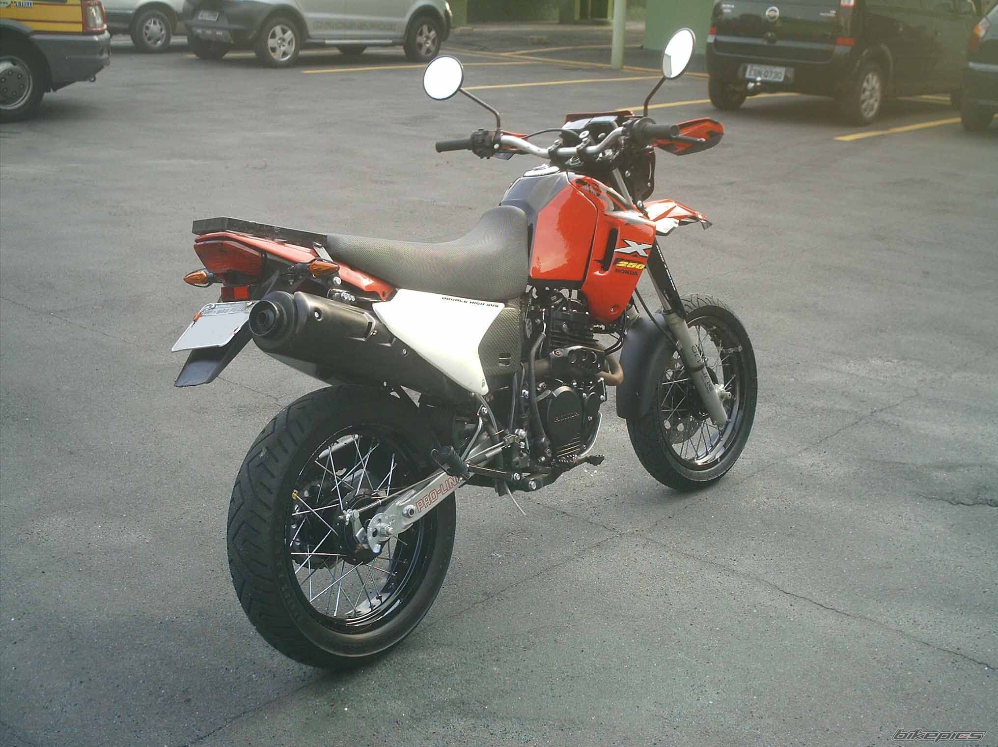 Photo 1585766