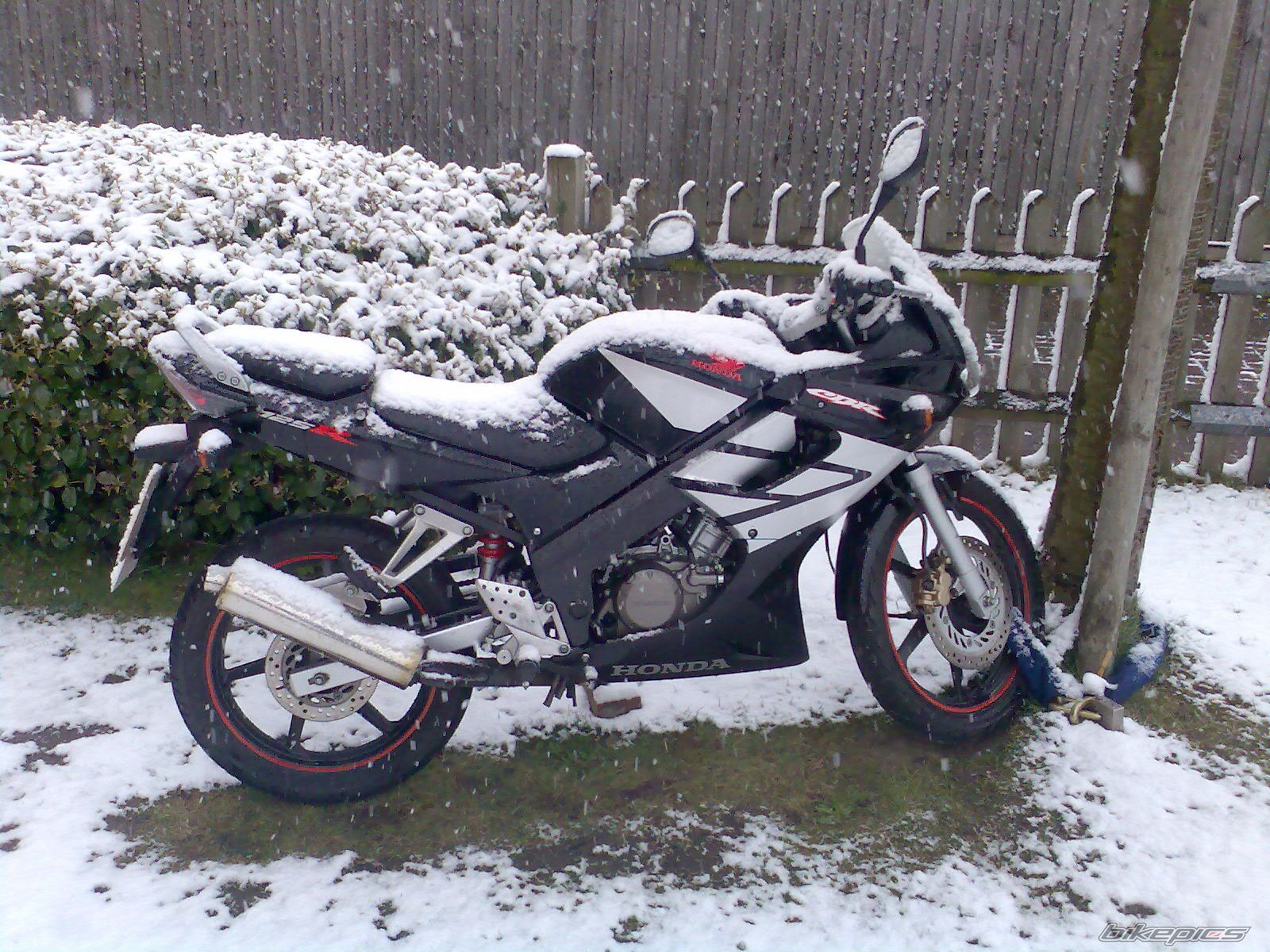 Photo 1585794