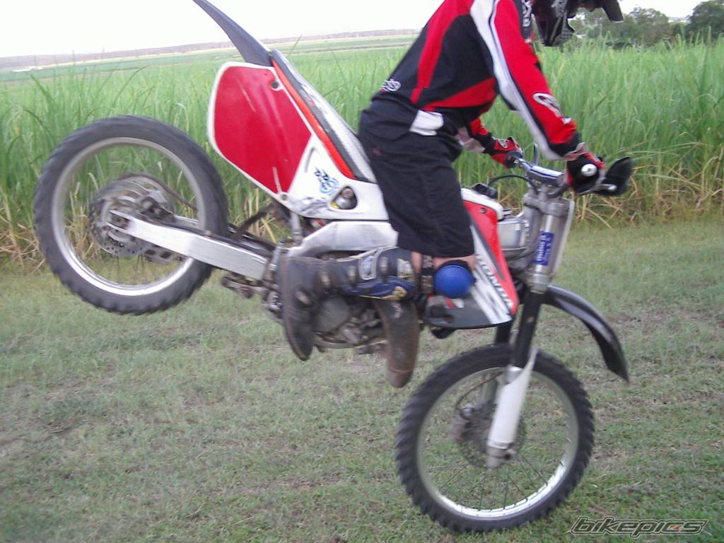 Photo 158581