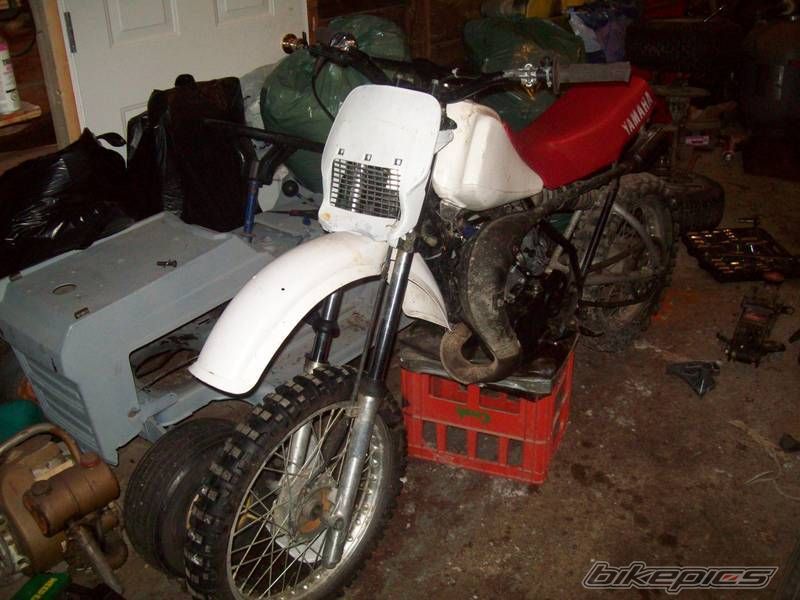 Photo 1585842