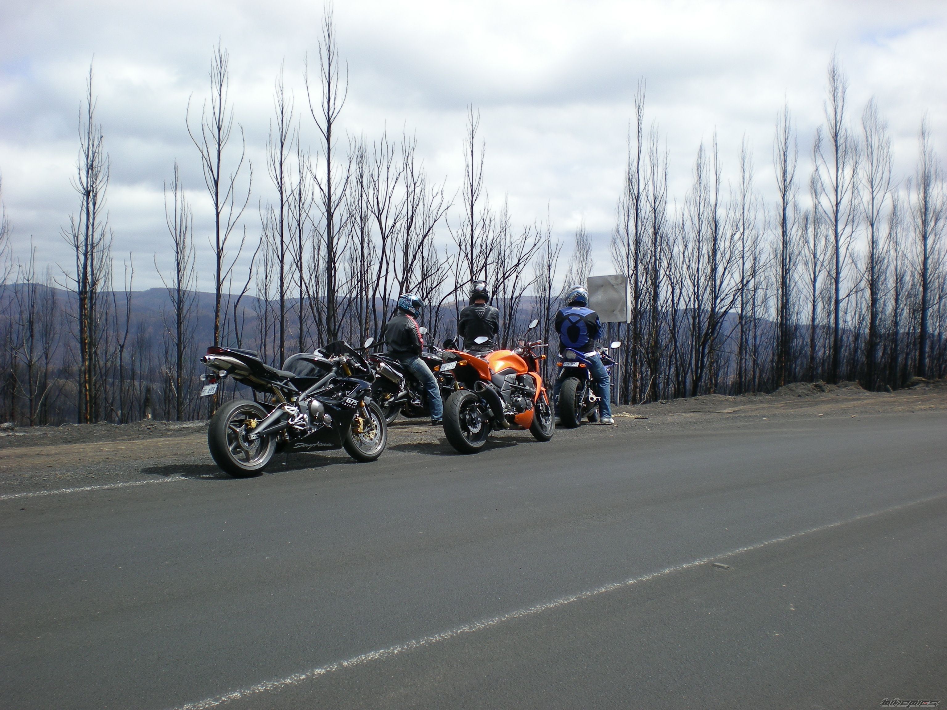 Photo 1585935