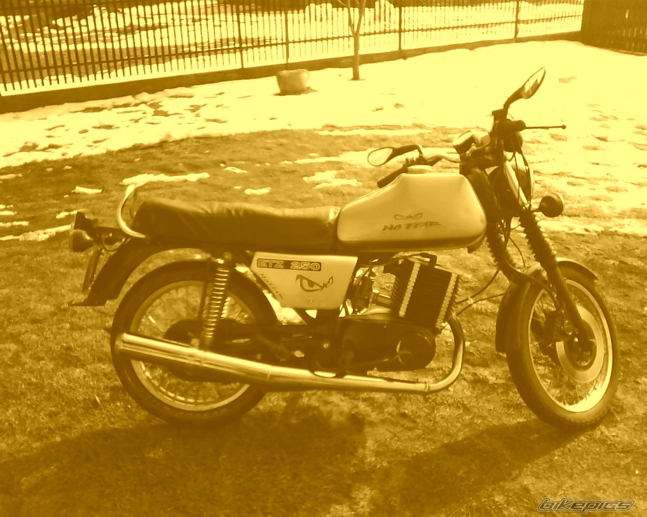 Photo 1586186