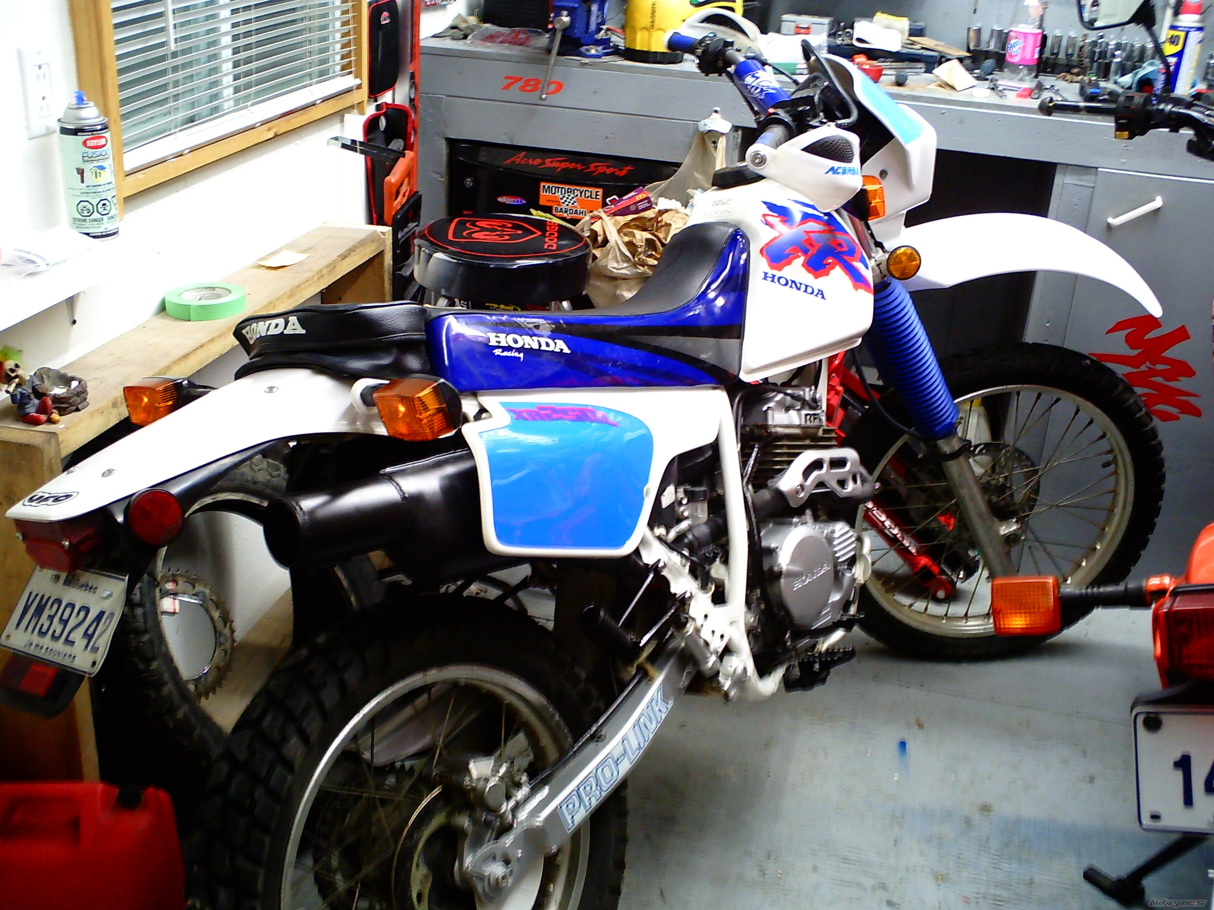 Photo 1586239
