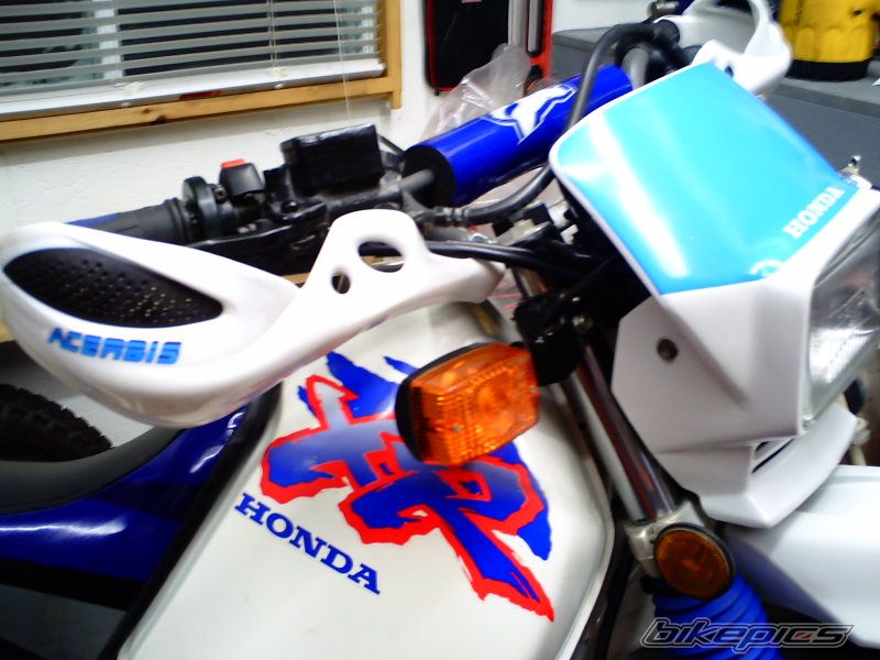 Photo 1586241
