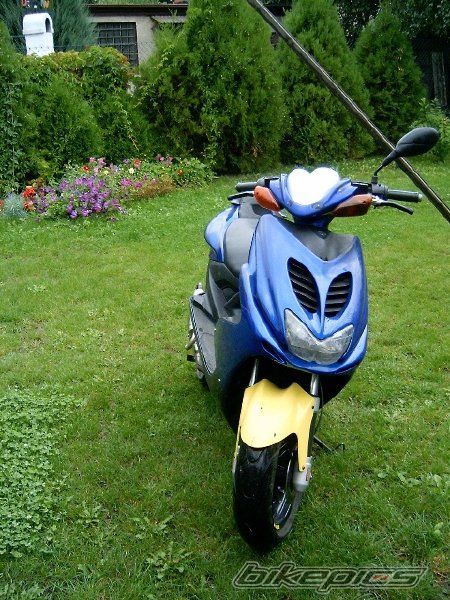 Photo 1586293