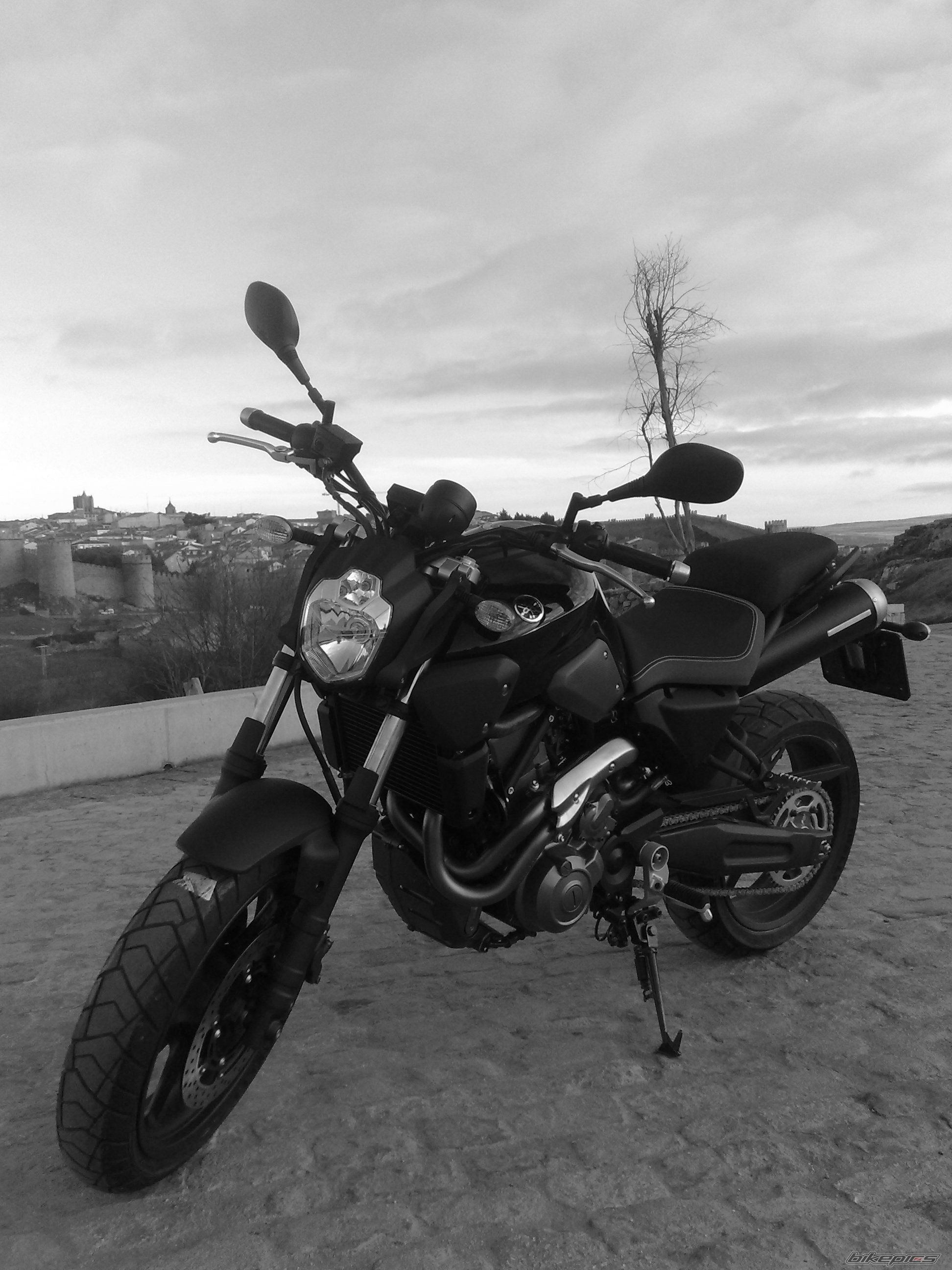 Photo 1586331