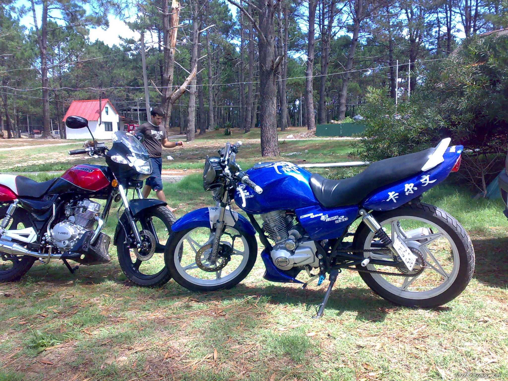 Photo 1586379