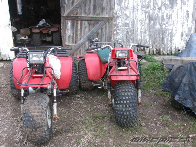 Photo 1586410