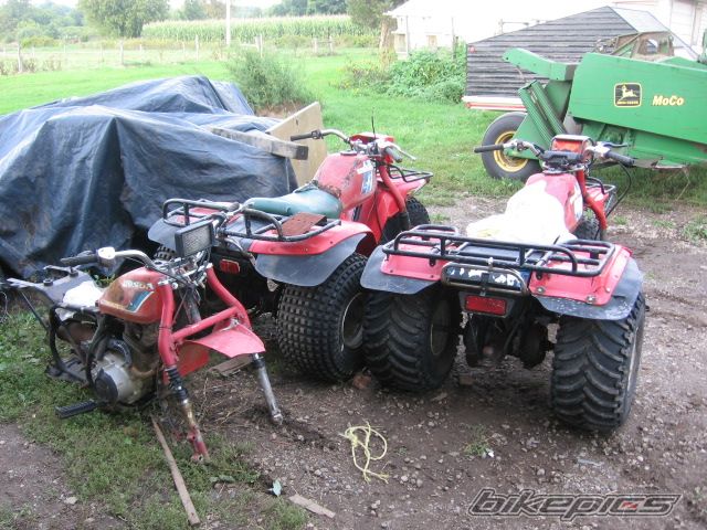 Photo 1586412