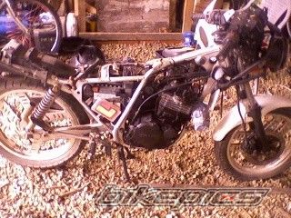 Photo 1586450