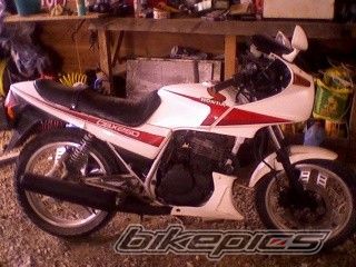 Photo 1586456