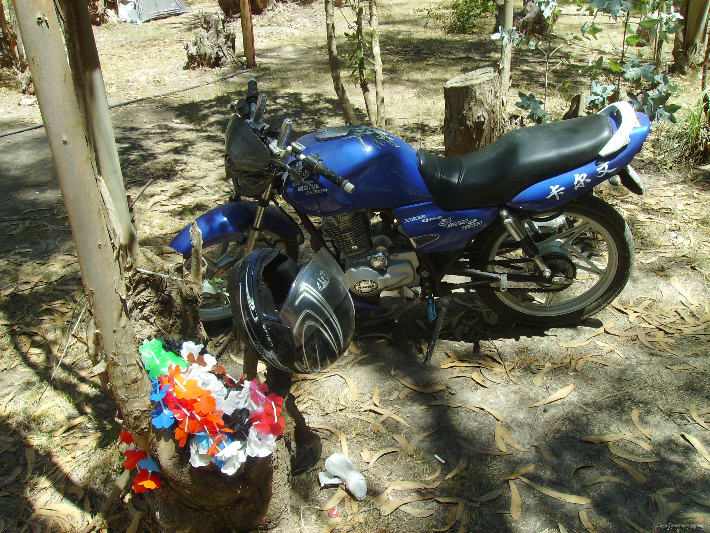 Photo 1586517