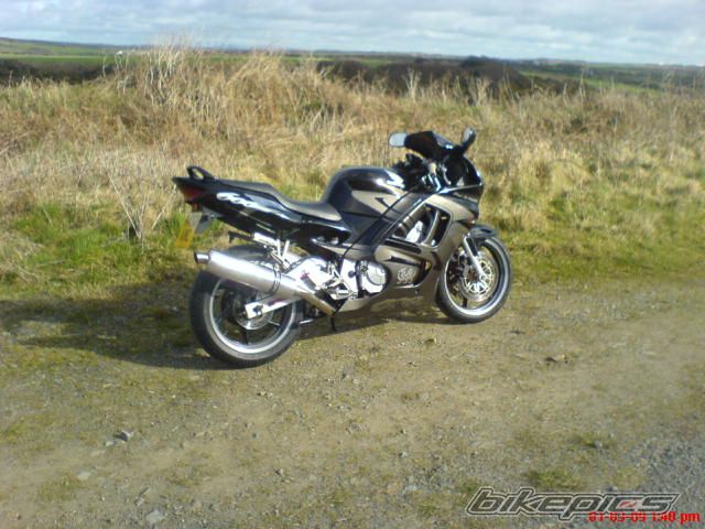 Photo 1586523