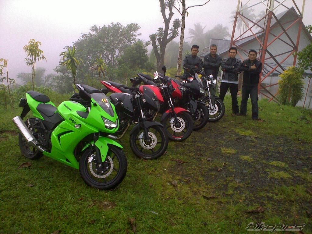 Photo 1586535
