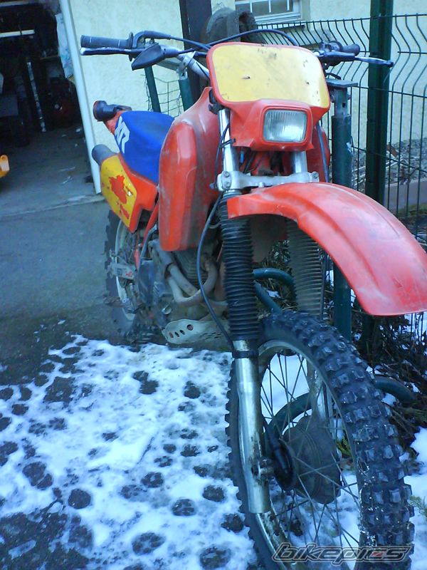 Photo 1586801