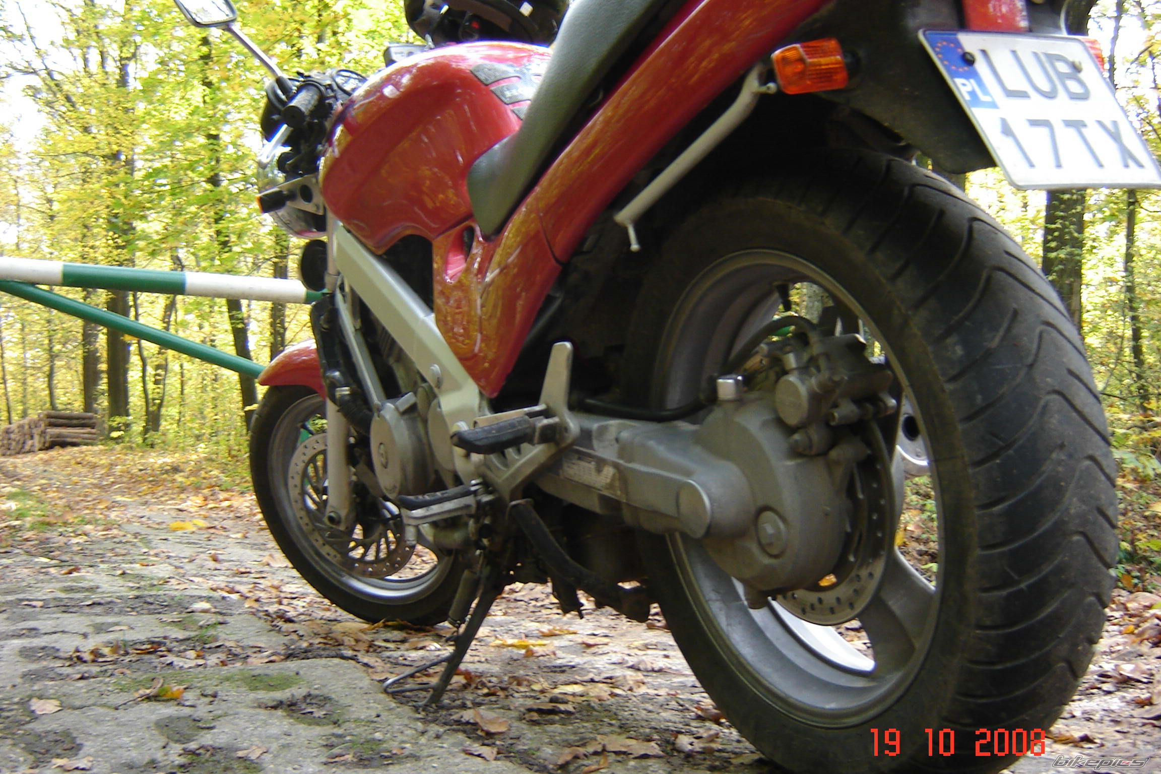 Photo 1586838