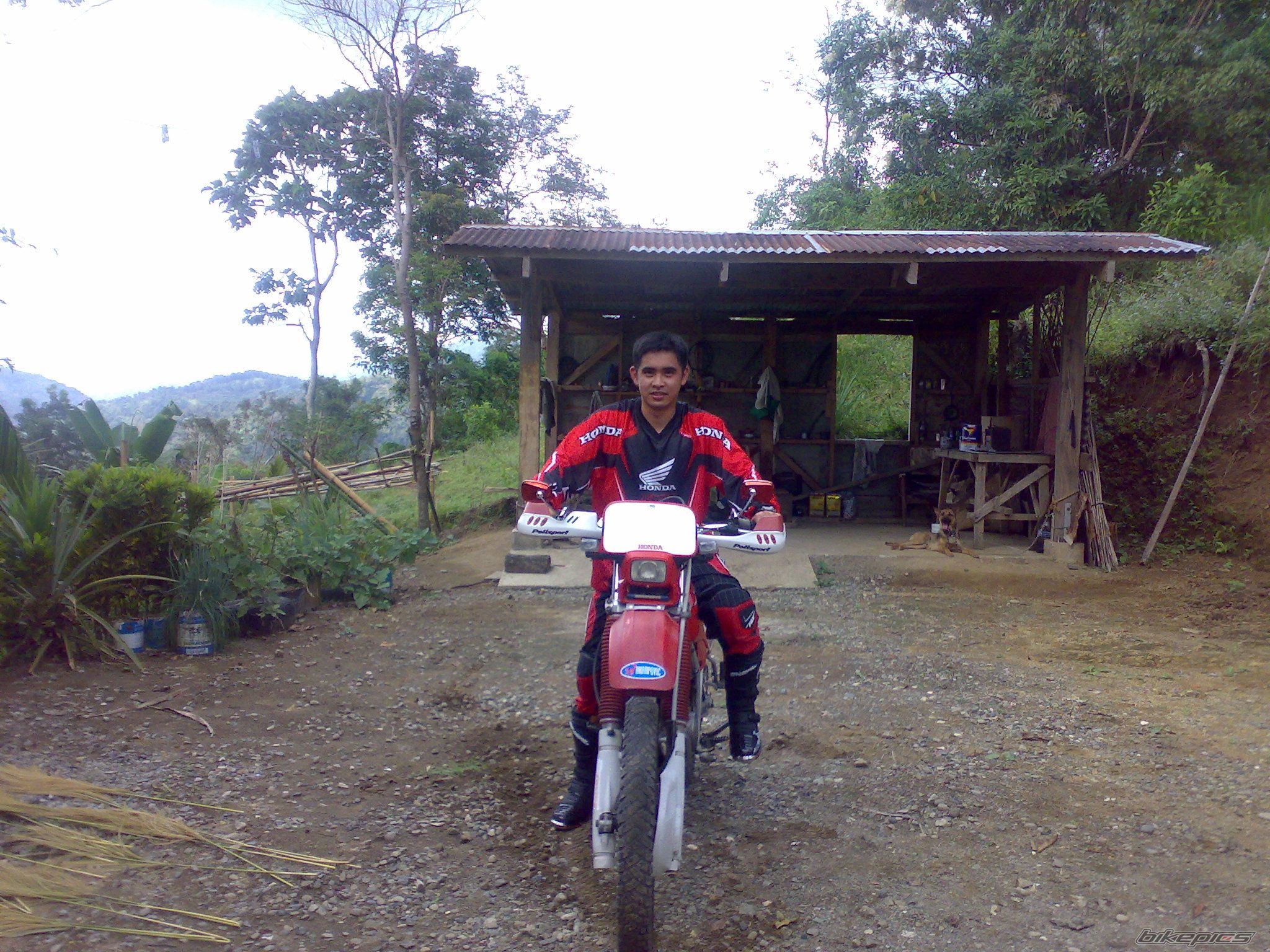 Photo 1586871