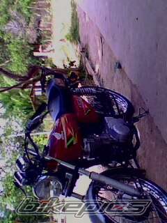 Photo 1586919