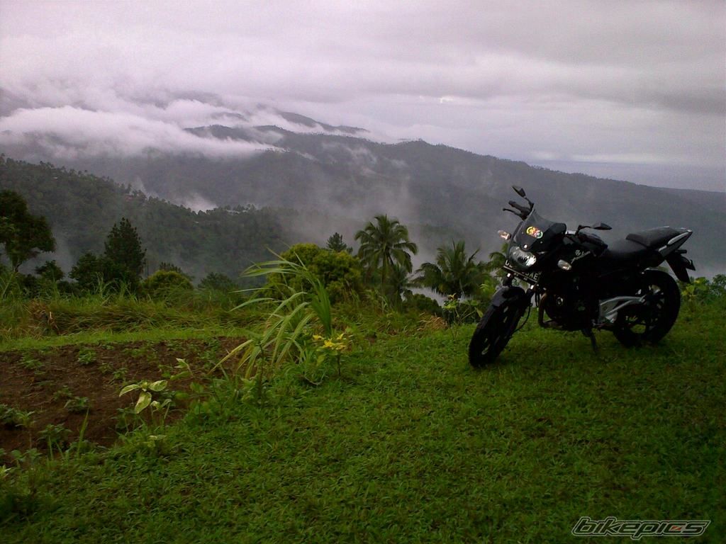 Photo 1586967