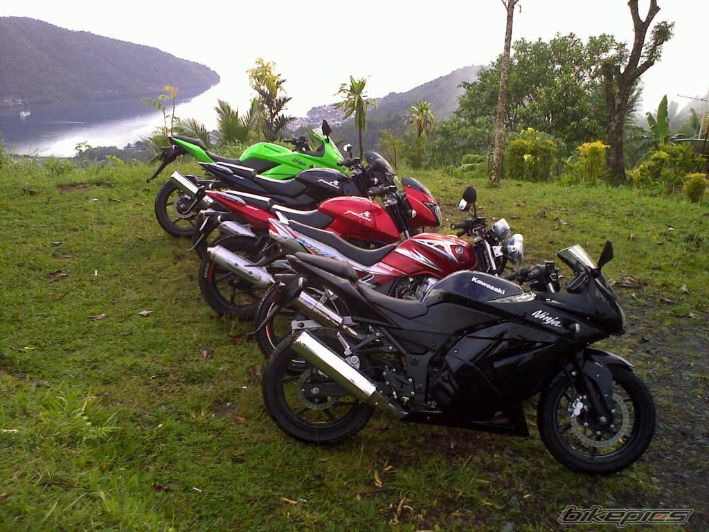 Photo 1586972