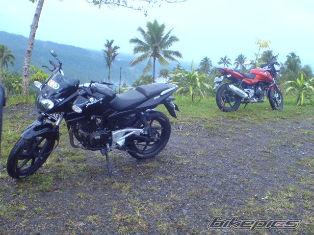 Photo 1586975