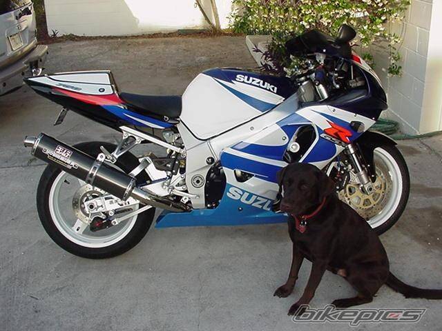 Bike Photo 1587
