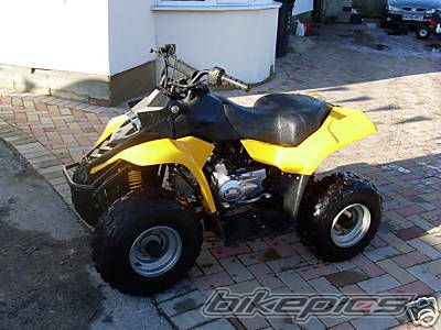 Panda 110