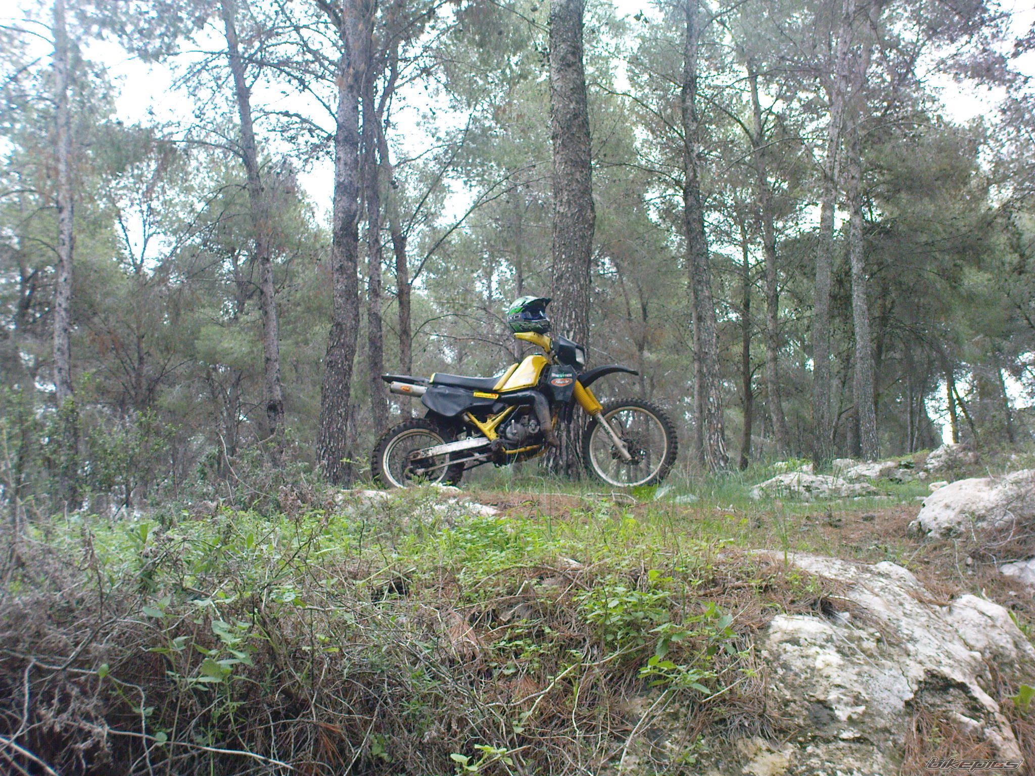 Photo 1587270