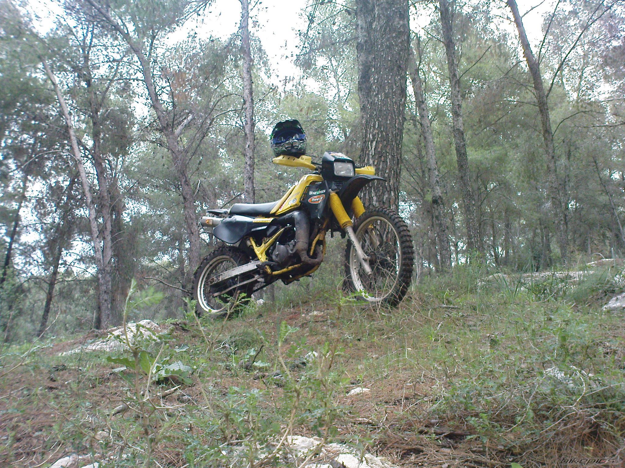 Photo 1587273