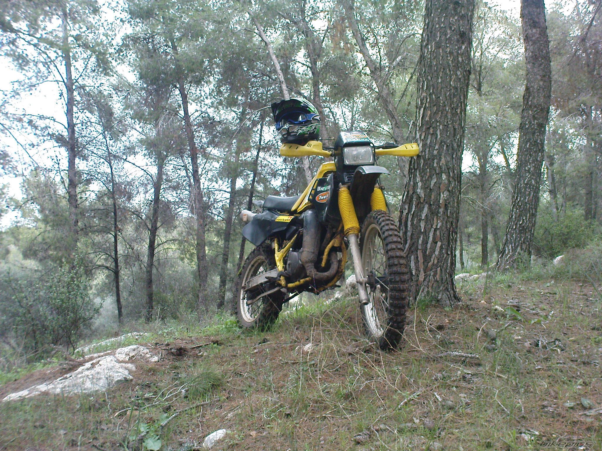 Photo 1587274