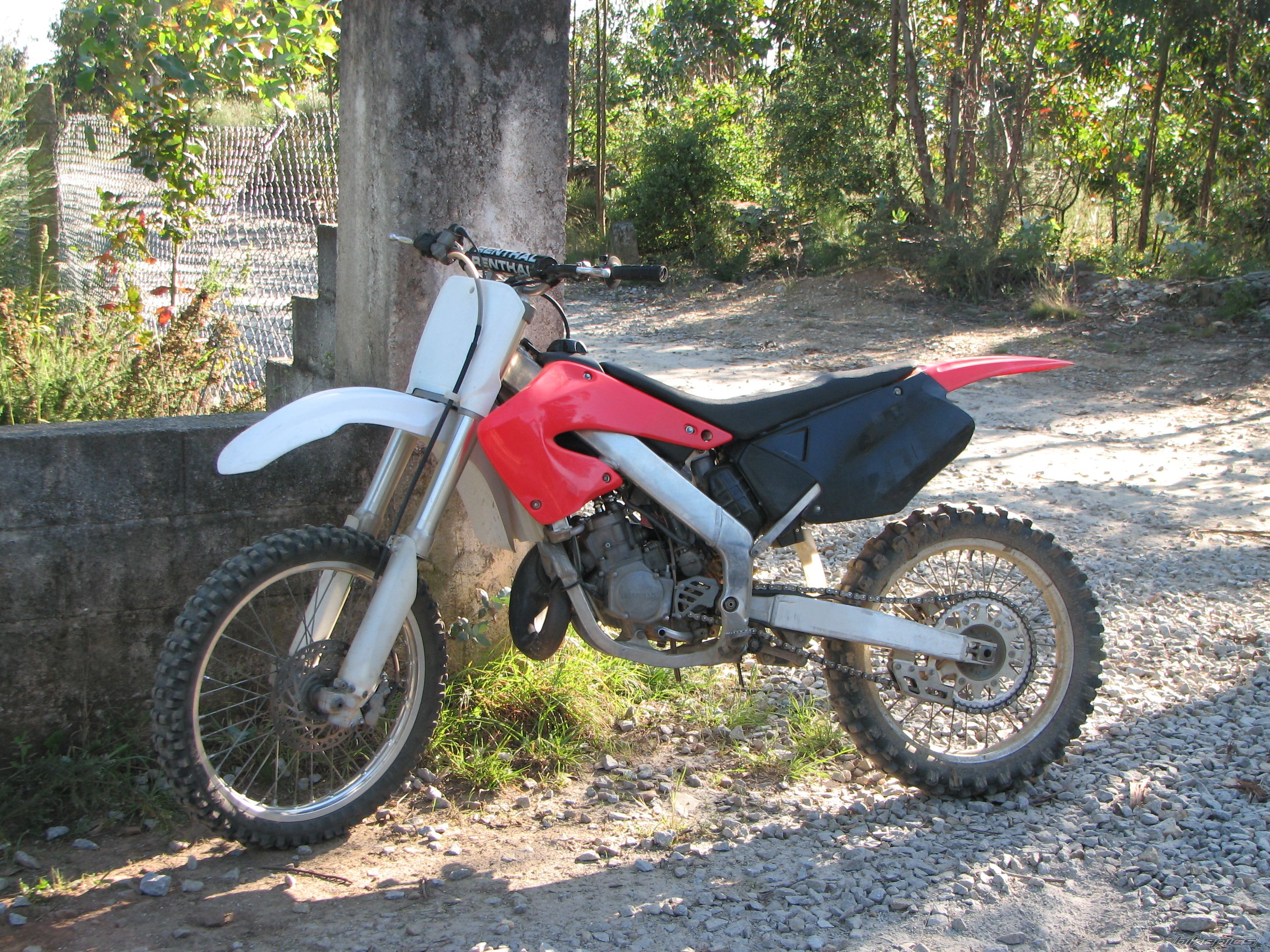 Photo 1587275