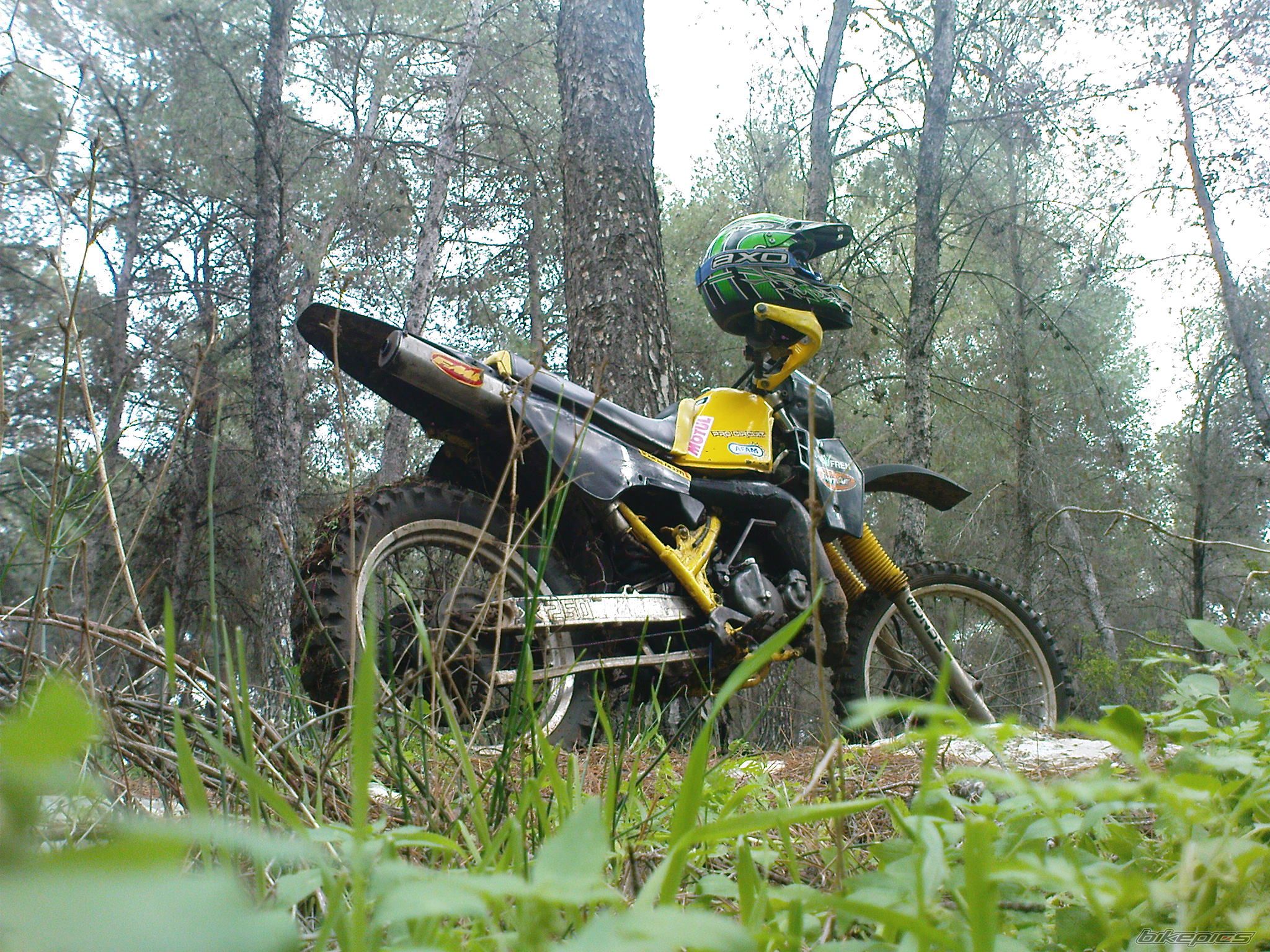 Photo 1587276