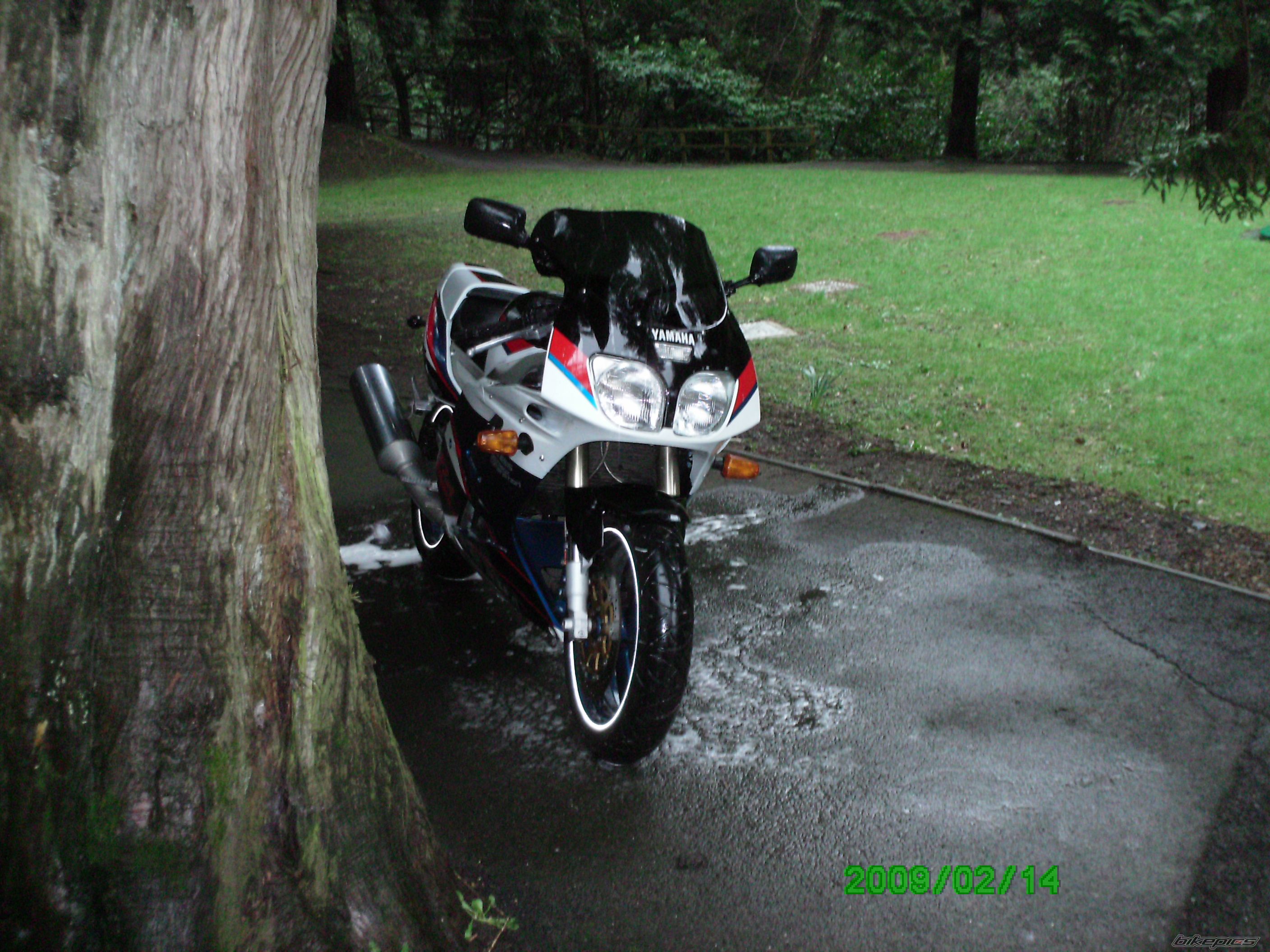 Photo 1587331