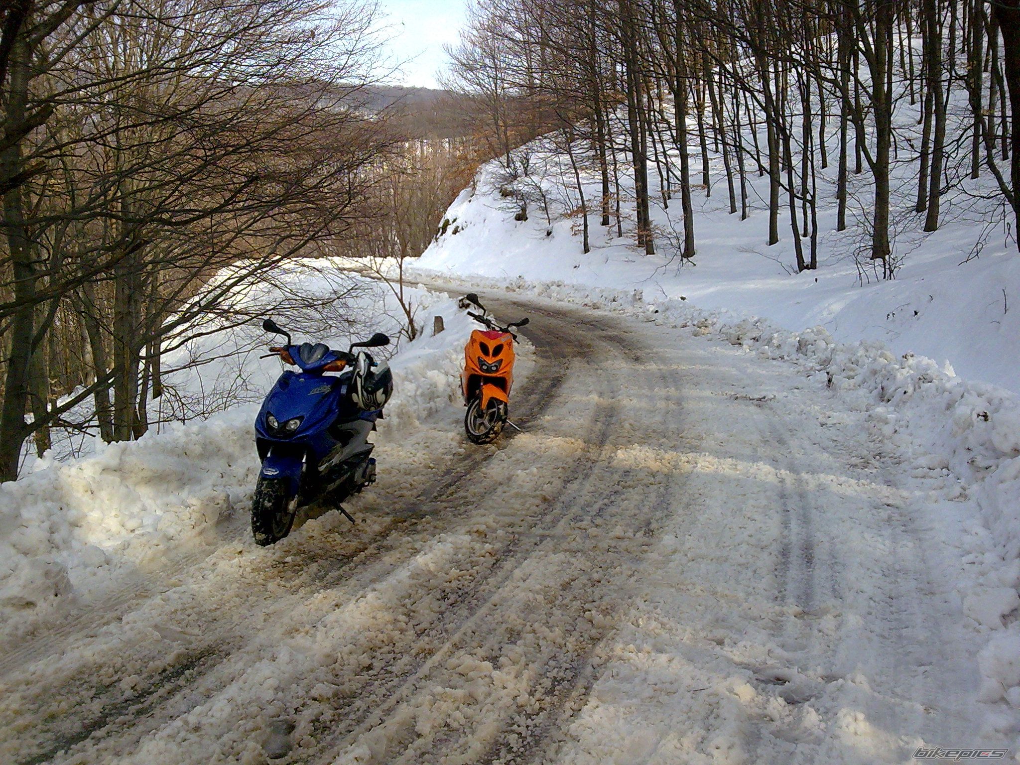 Photo 1587367