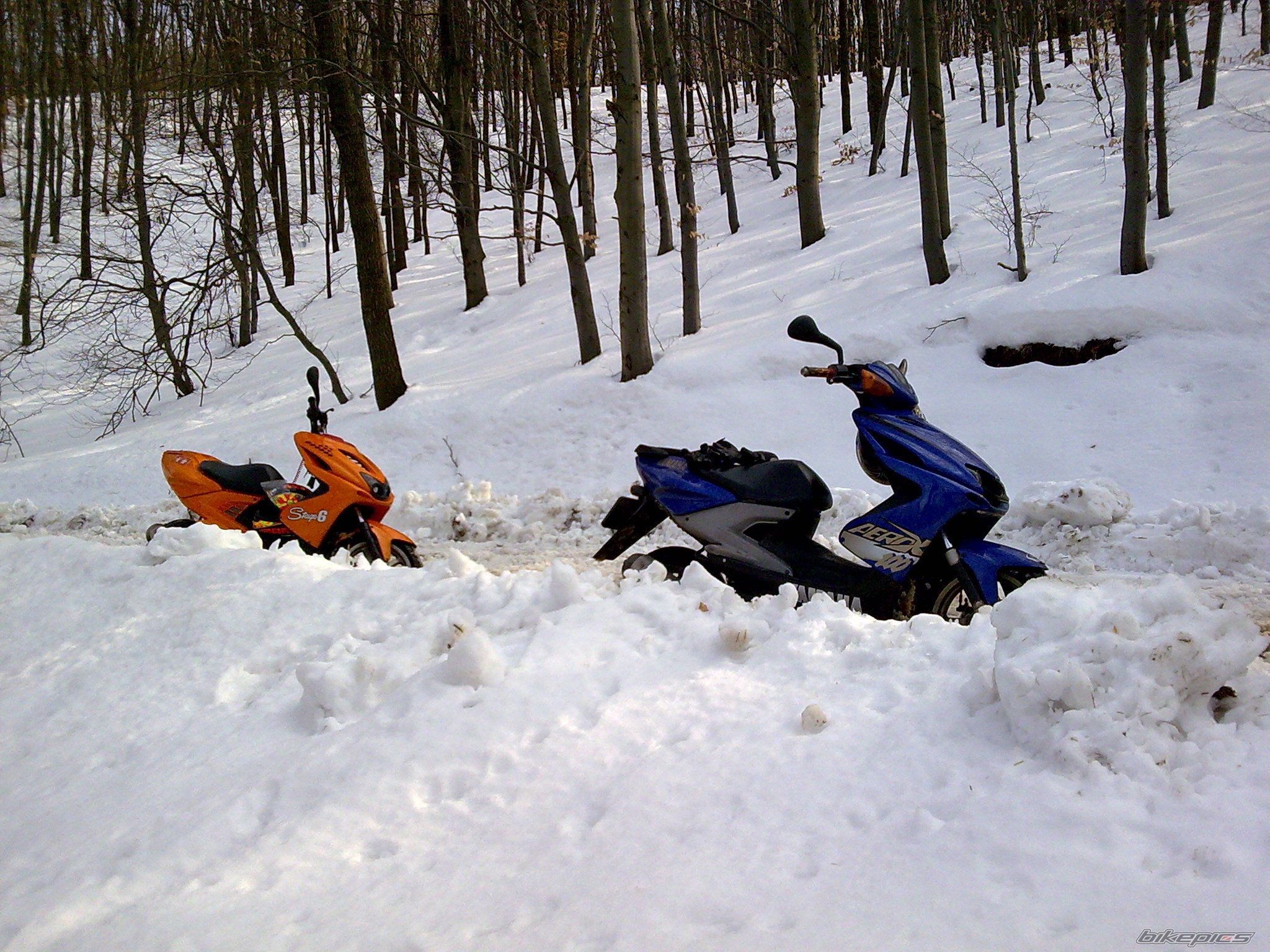 Photo 1587370