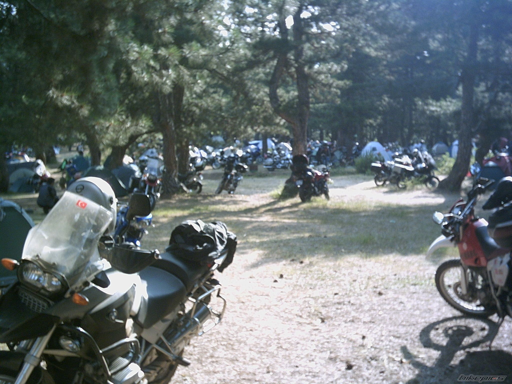 Photo 1587388