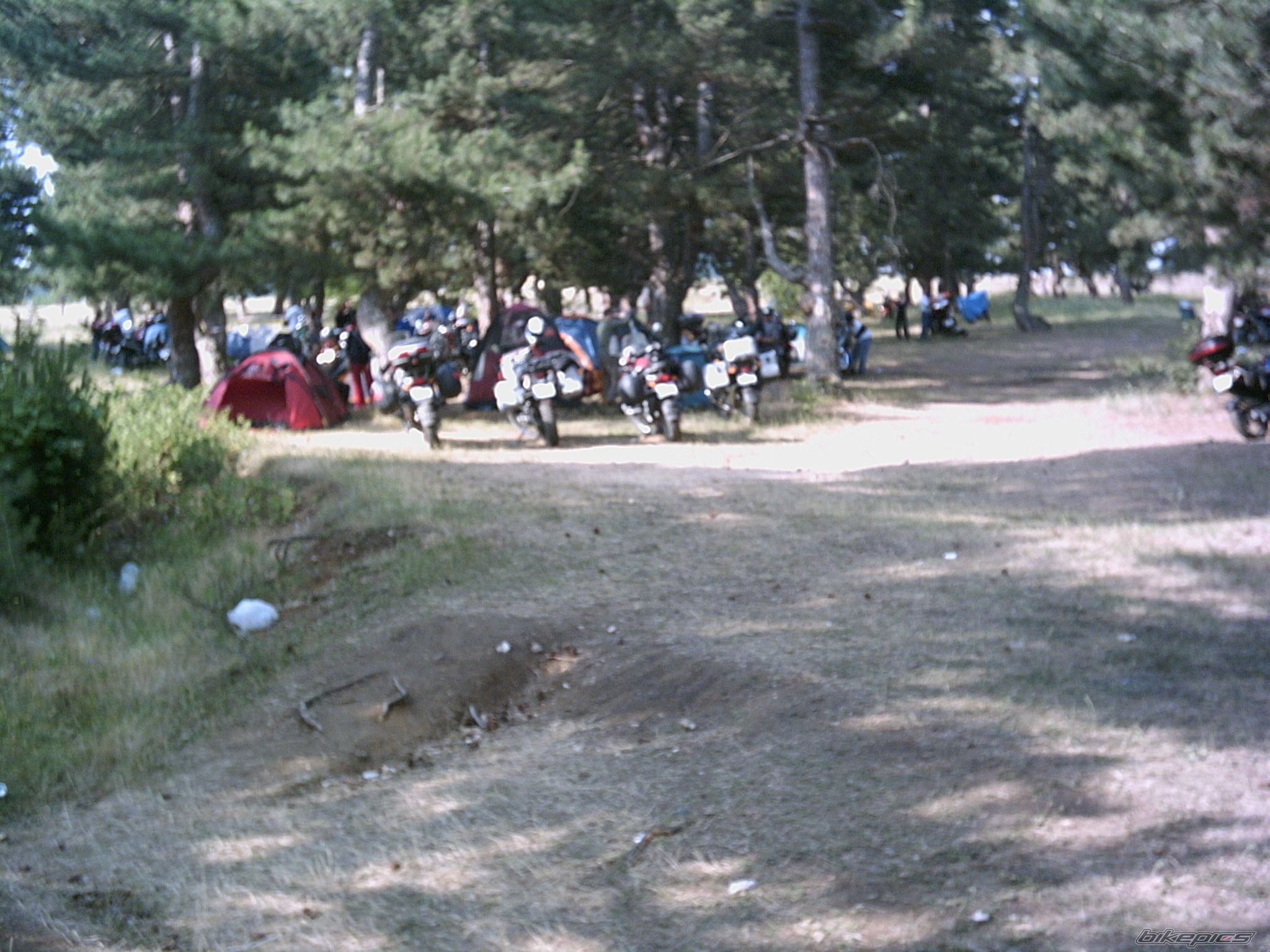 Photo 1587389