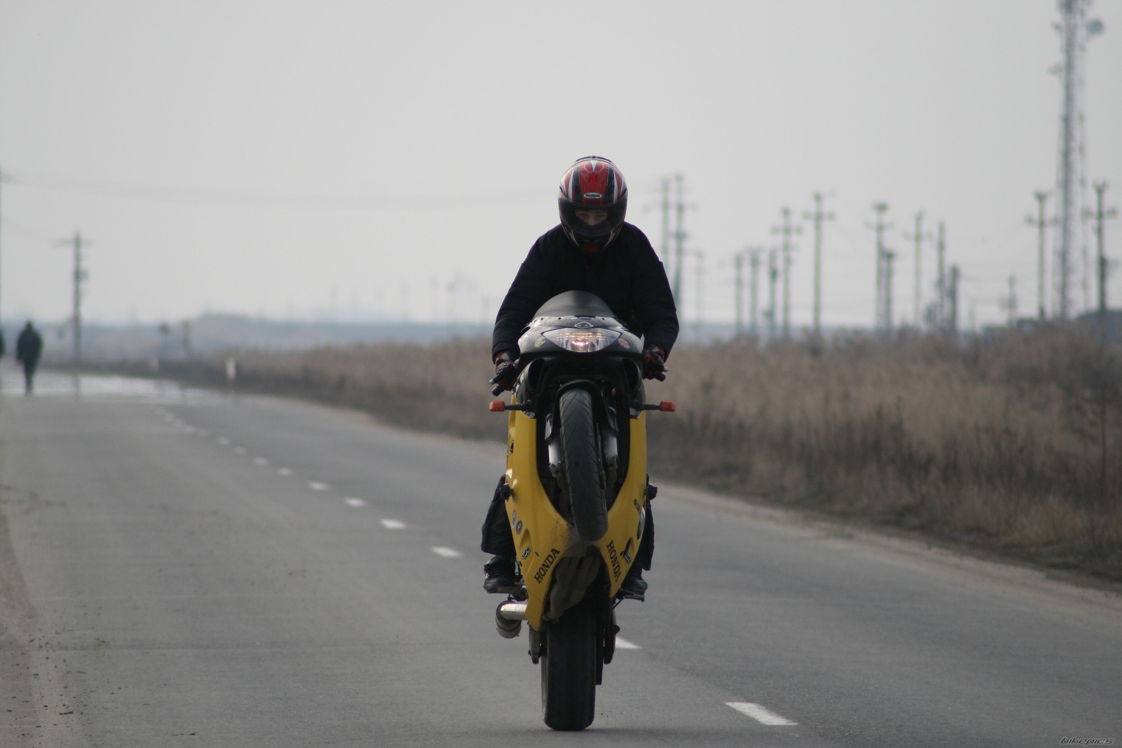 Photo 1587504