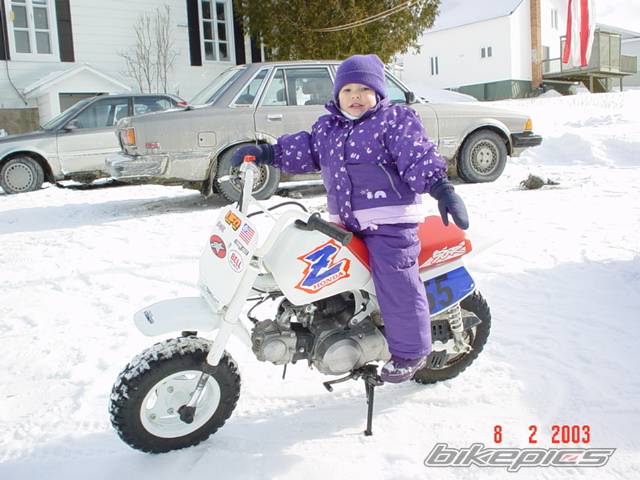 Photo 158768