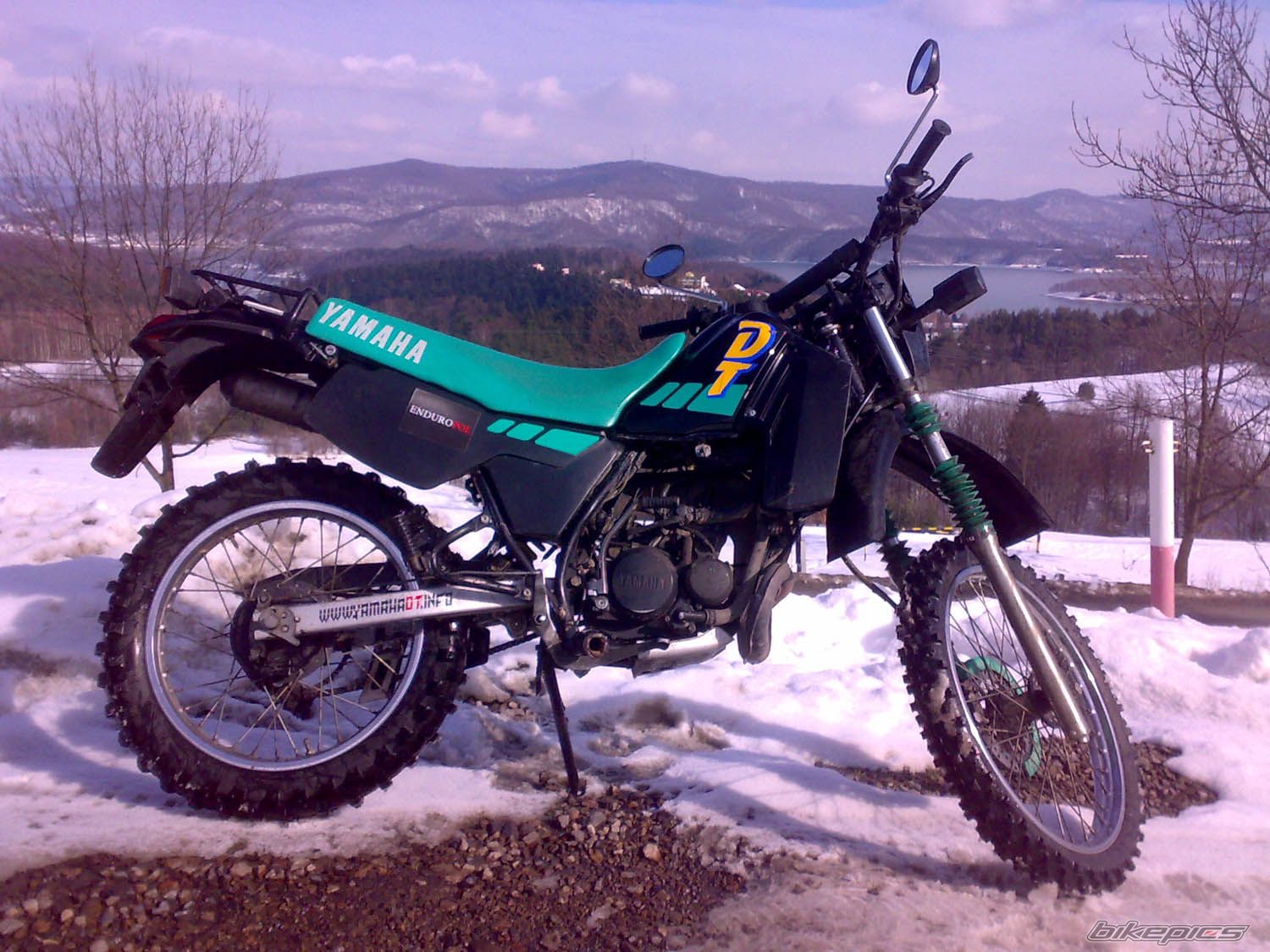Photo 1587703