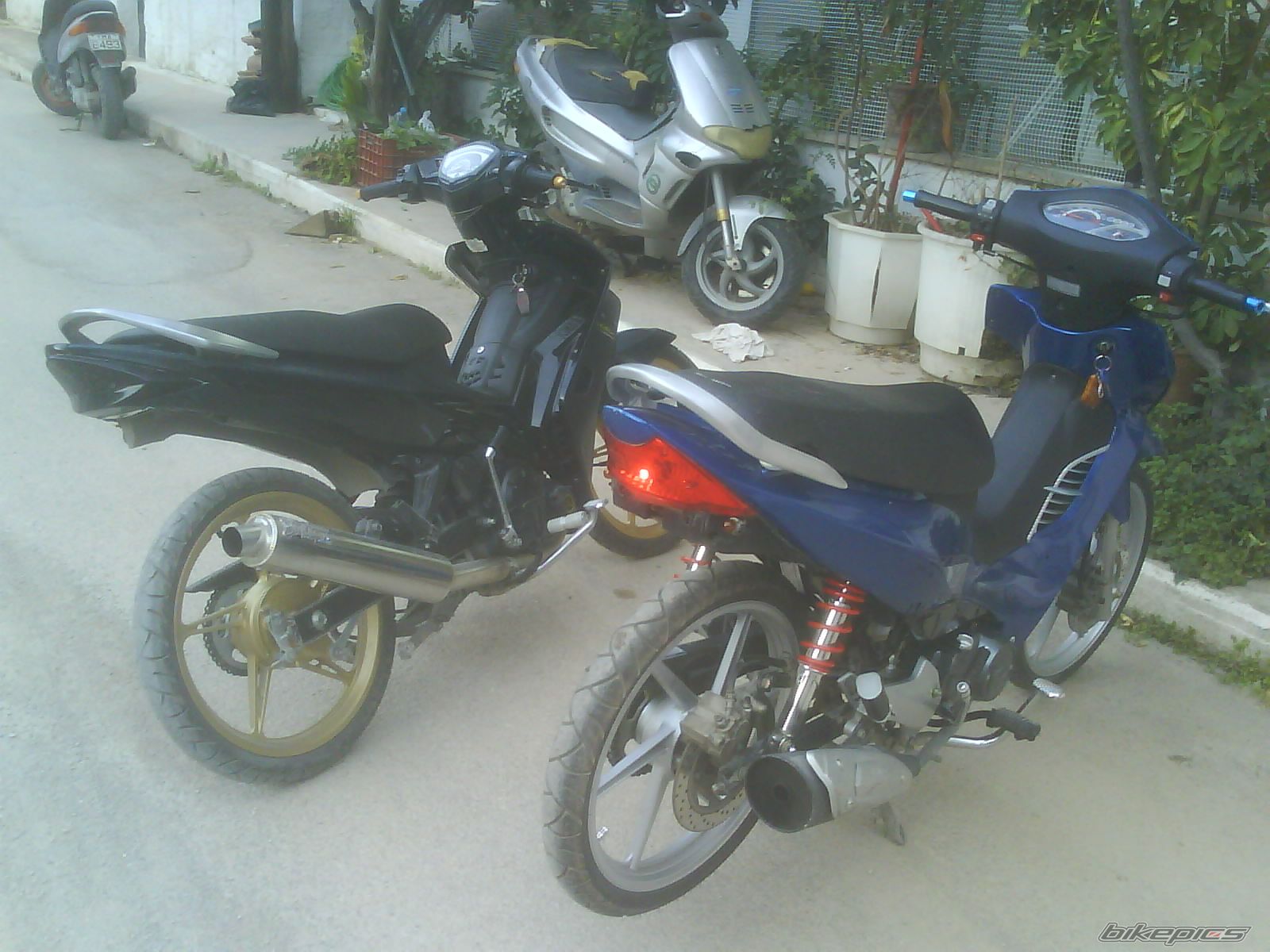 Photo 1587823
