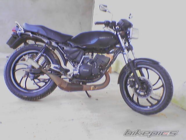 Photo 1587966